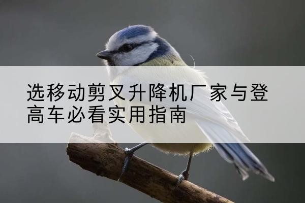 下陆电动升降机厂家-选移动剪叉升降机厂家与登高车必看实用指南