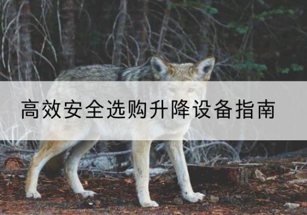 下陆升降货梯厂家推荐-*安全选购升降设备指南
